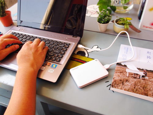 开学季便捷式移动硬盘选购指南 东芝移动硬盘评测